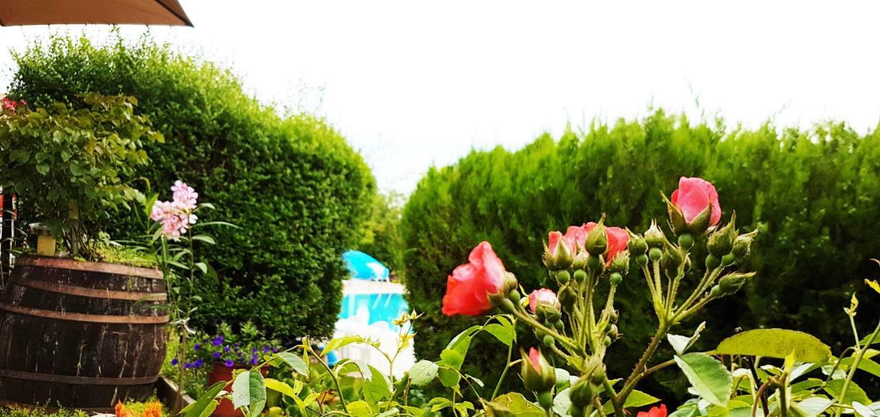 Mandel Apartment ปาลอซนัค ภายนอก รูปภาพ